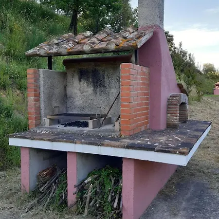 'rose' Mit Terrasse By Interhome *